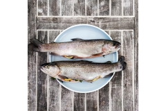 Two fish.